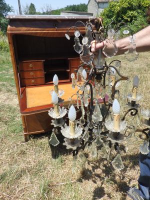une personne qui tient un lustre dans l'herbe