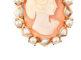 an image of a woman ' s profile in a shell cameo broochle