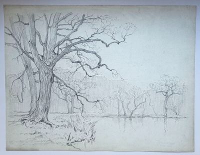 dessin au crayon représentant un arbre dans un champ, avec un étang au premier plan