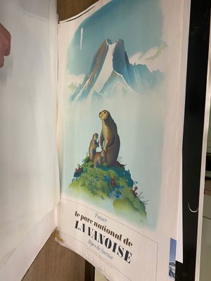 une personne tenant un livre ouvert sur lequel figure l'image d'un ours