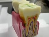two soap bars sitting in a pink holder on a table