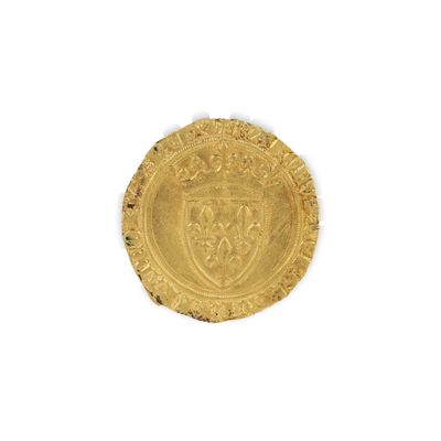 l'image d'une pièce d'or sur laquelle figurent des armoiries