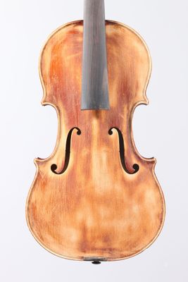 gros plan d'un violon sur fond blanc