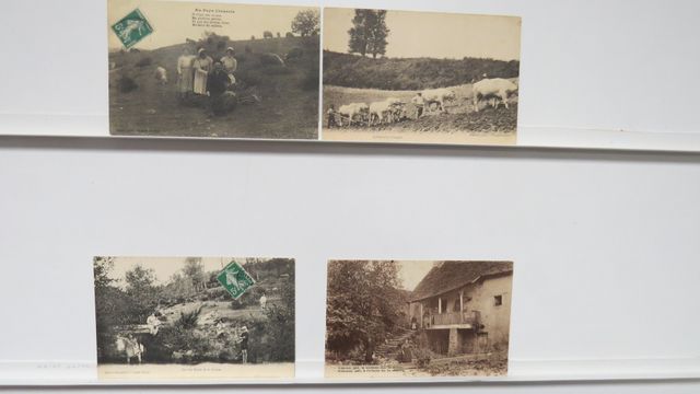 Types creusois : Lot de 4cpa. B.E.