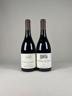 deux bouteilles de vin rouge posées sur une table blanche