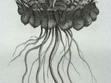 a drawing of a jellyfish with large tentacles on it ' s back