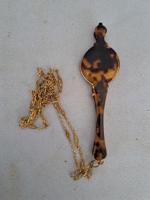 une petite tortue à laquelle est attachée une chaîne en or