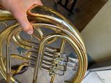 a person holding a brass french horn in their hand