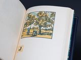an open book with a picture of a tree on it