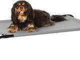 le petit chien est assis sur le lit surélevé, sur fond blanc