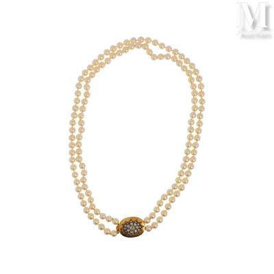 gros plan d'un collier de perles sur fond blanc