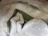 a plastic bag with a stuffed animal inside of it