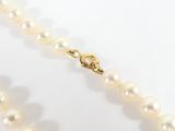 a close up of a pearl necklace with a gold clasp