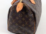 an image of a louis vuitton handbag on a white background