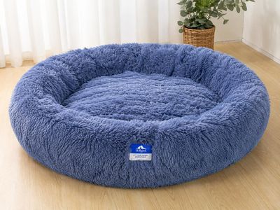 a blue dog bed on a wooden floor with a plant in the background