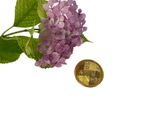 une petite pièce posée à côté d'une fleur violette