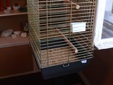 a bird cage that has a bird inside of it
