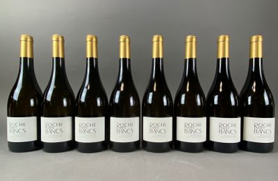8 B Chardonnay (blanc), Roche des Bancs, En Saute-lièvre, 20…