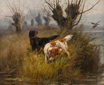 deux chiens qui se tiennent dans l'herbe au bord de l'eau