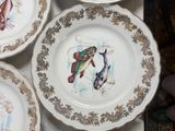 four plates with fish painted on them on a table