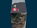 a box with a picture of a dinosaur inside of it
