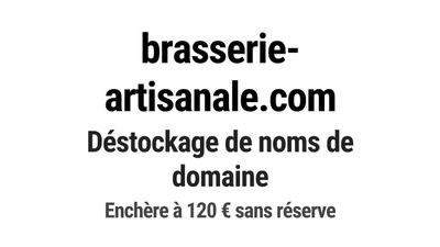Nom de domaine brasserie-artisanale.