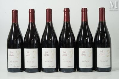 six bouteilles de vin sont alignées sur une table