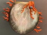 une pieuvre orange posée sur un morceau de coquillage
