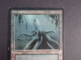 a picture of a card with a picture of a tree stump