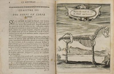 an old book with a drawing of a horse on it