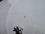 a close up of a white plate with a spoon and fork on it
