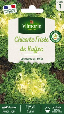 VILMORIN - Graines Chicorée Frisée de Ruffec - Variété d'aut…