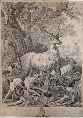 dessin représentant un cerf et une biche dans un décor boisé