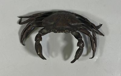 a crab that is sitting on a white surface