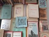 Photo 6/50 du lot