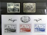 une photo d'une collection de timbres exposée dans une vitrine
