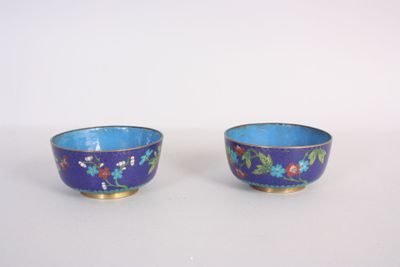 une paire de bols bleus et dorés ornés de fleurs sur fond blanc