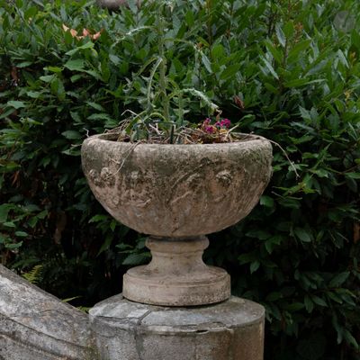 un oiseau perché sur une jardinière