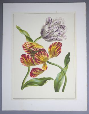 une image représentant un tableau avec deux fleurs sur fond blanc