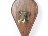 une tête d'éléphant fixée sur une plaque en bois accrochée au mur