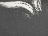 a black and white photo of a banana on the ground