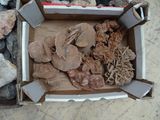 une boîte remplie de nourriture posée par terre