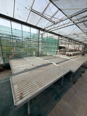 a long table in the middle of a large greenhouse