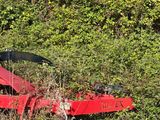 a small red plane that is sitting in the grass