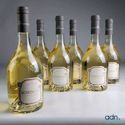 six bouteilles de vin sont alignées sur une table