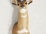 une tête de cerf fixée au mur d'une pièce