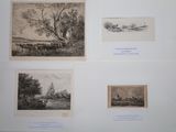four framed pictures of various landscapes and trees on a wall