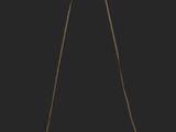 un collier avec une chaîne en or et un fermoir en or
