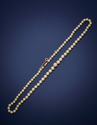 a pearl necklace with a gold clasp on a blue background