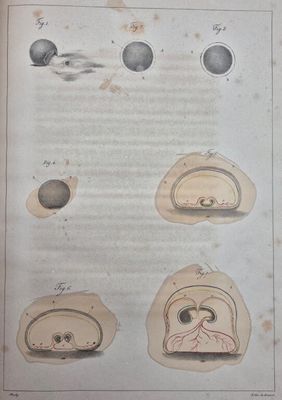 a book with a drawing of different types of objects on it